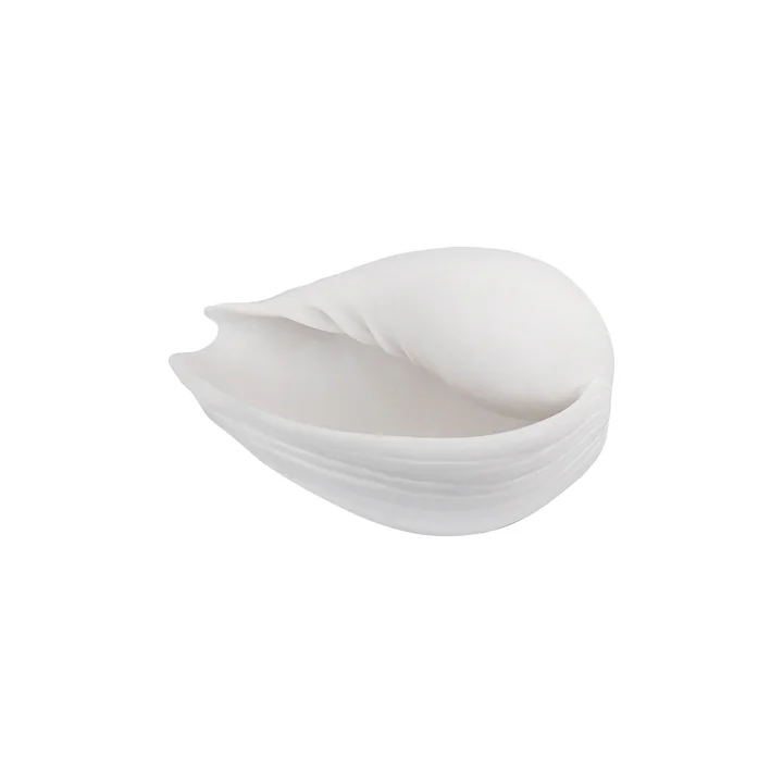 Conch Muscheln von Mette Ditmer