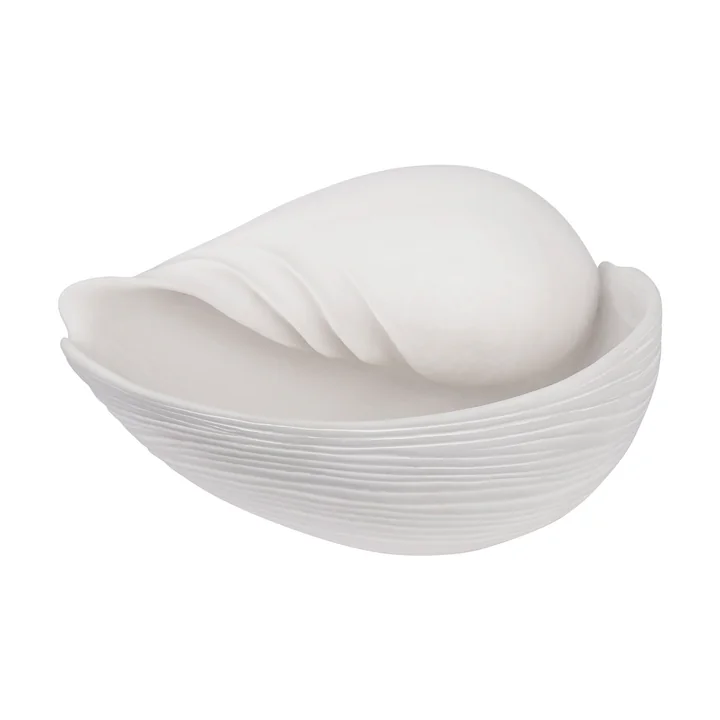 Conch Muscheln von Mette Ditmer