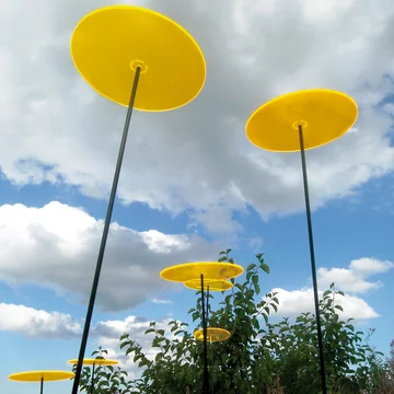 Cazador del sol - Uno Sonnenfänger, gelb