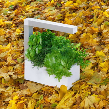 Herbie Kräutergarten von Tregren im Shop