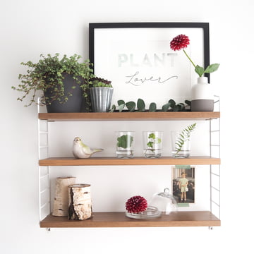 Sodapop - String Pocket