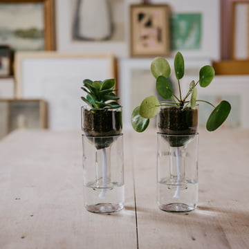 Der Self Watering Bottle Blumentopf von side by side auf einem Holztisch