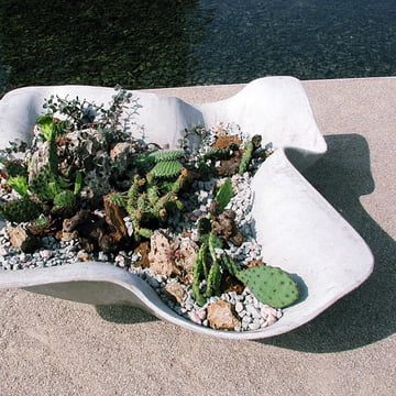 Der Biasca Pflanzentopf von Eternit mit Sukkulenten und Steinchen