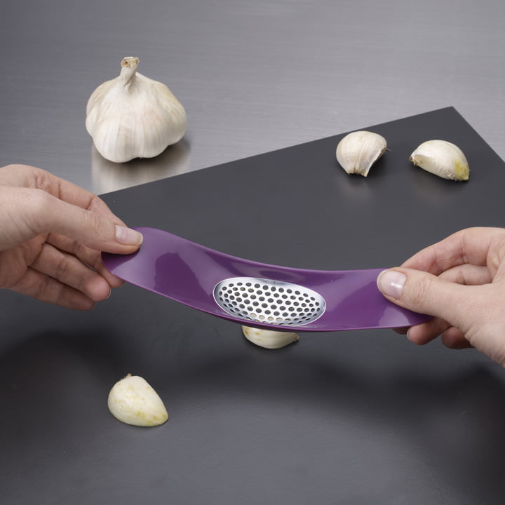 Garlic Rocker von Joseph Joseph