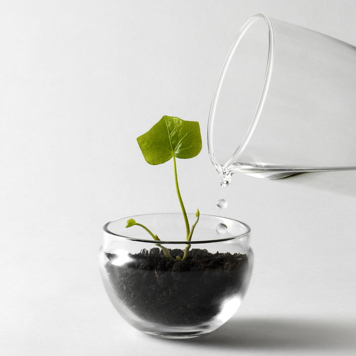 Grow Gewächshaus von Design House Stockholm