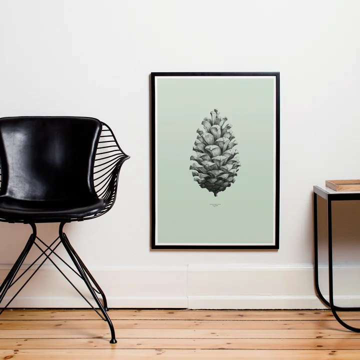 Poster Nature 1:1 Pine Cone von Paper Collective
