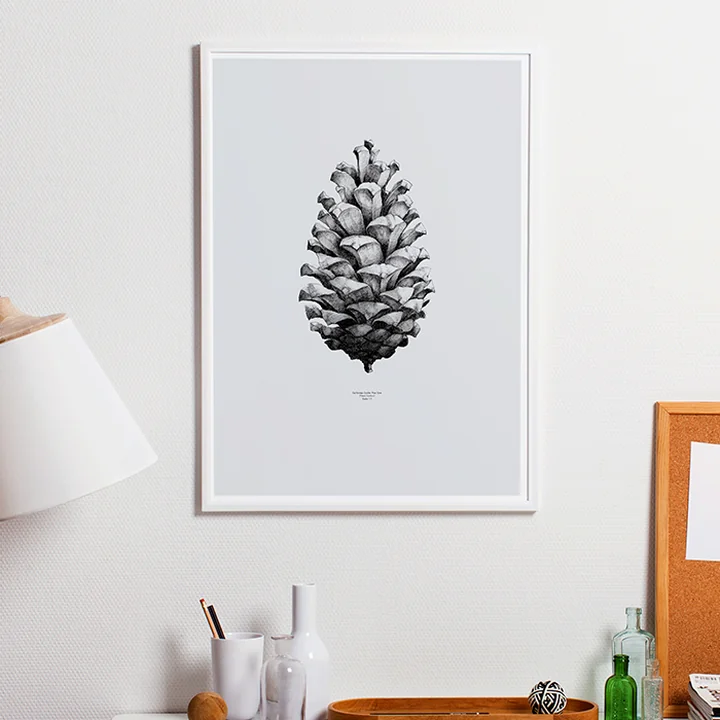 Poster Nature 1:1 Pine Cone von Paper Collective