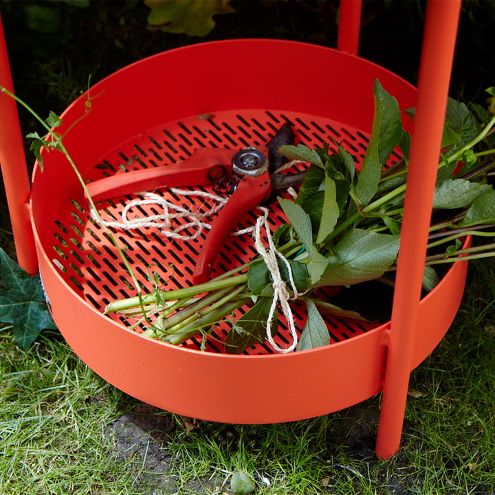 Gitter-Ablagefläche für Pflanzen und Blumen