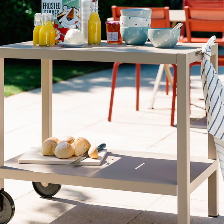 Lieblingsbegleiter auf der Terrasse und im heimischen Garten