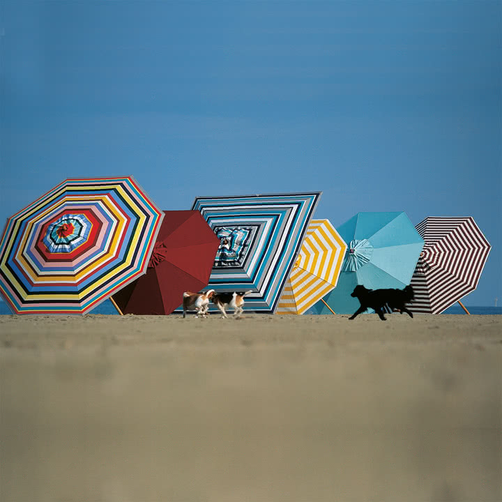 Klassiker Sonnenschirm von Weishäupl im Shop