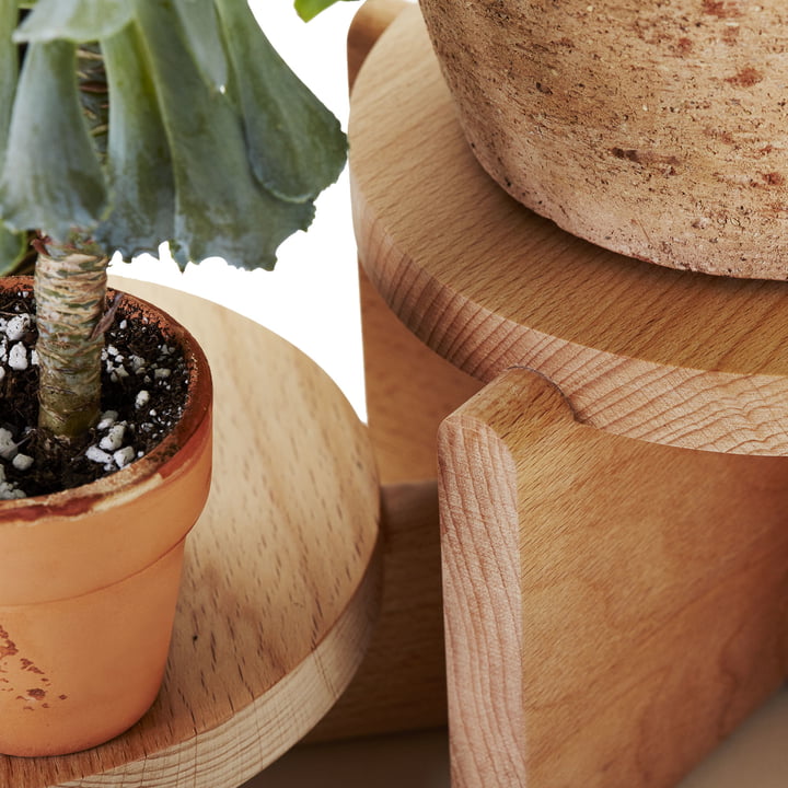 Das Pflanzen Podest Set von Areaware mit natürlicher Holzmaserung