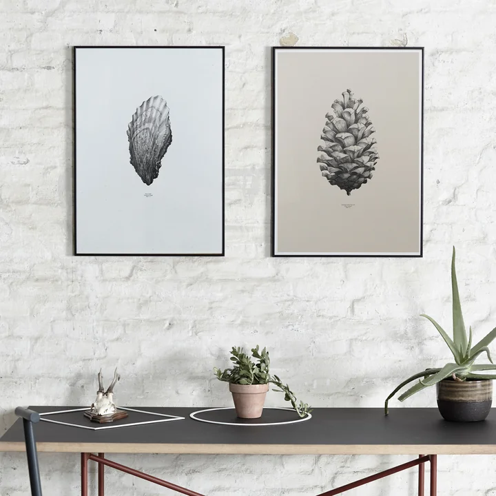 Poster Nature 1:1 von Paper Collective