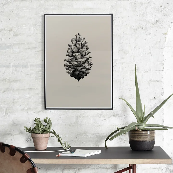 Poster Nature 1:1 Pine Cone von Paper Collective