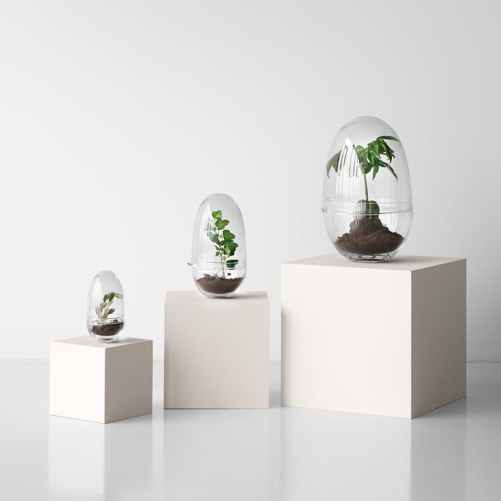 Grow Gewächshaus von Design House Stockholm