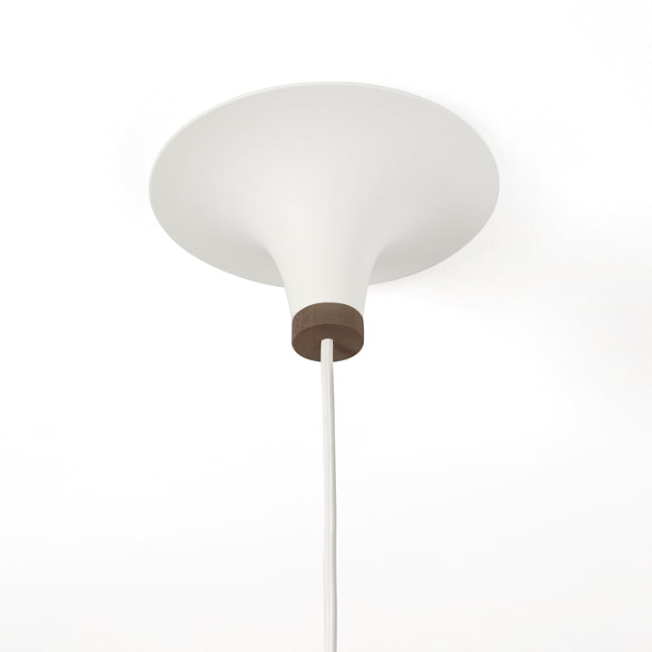 Acorn Pendelleuchte von northern lighting