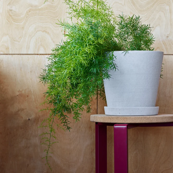 Der HAY - Blumentopf mit Untersetzer in grau