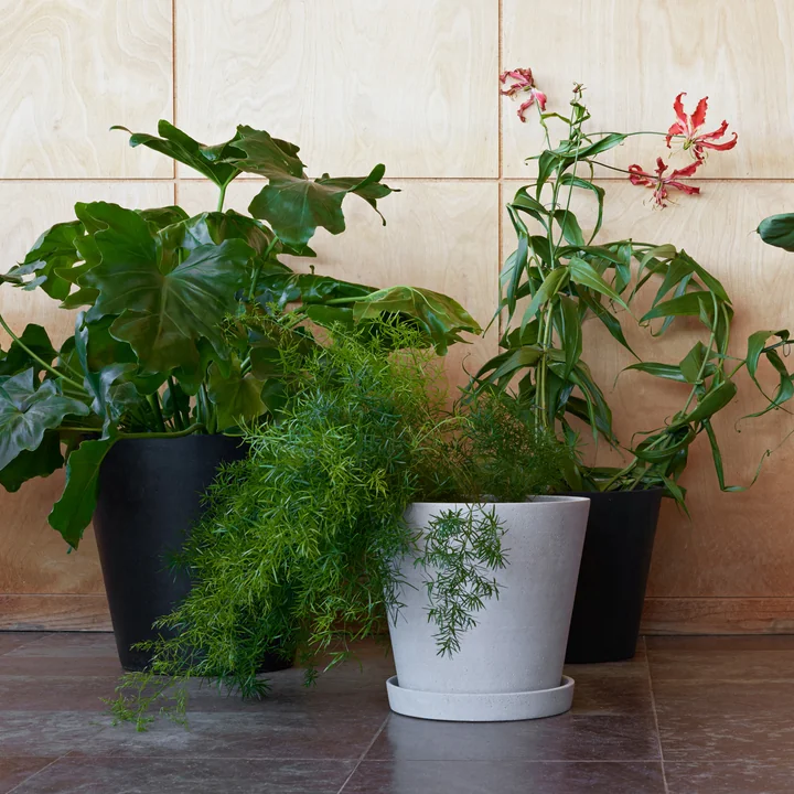 Der HAY - Blumentopf mit Untersetzer XXL und XXXL in schwarz und grau