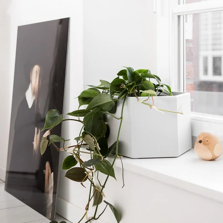 Flur - Bloggerbild von Lilli Grewe, Kitschcanmakeyourich