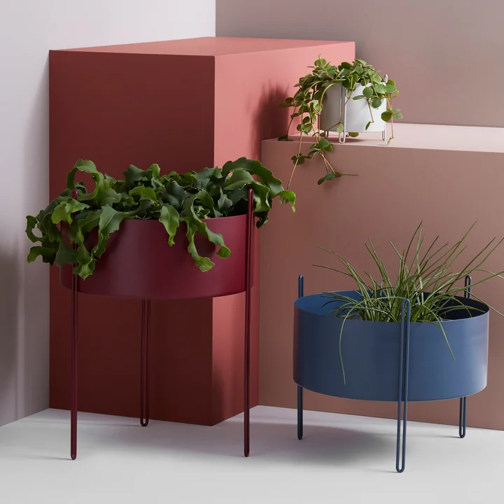 Der Woud - Pidestall Pflanzenbehälter in verschiedenen Größen und Farben
