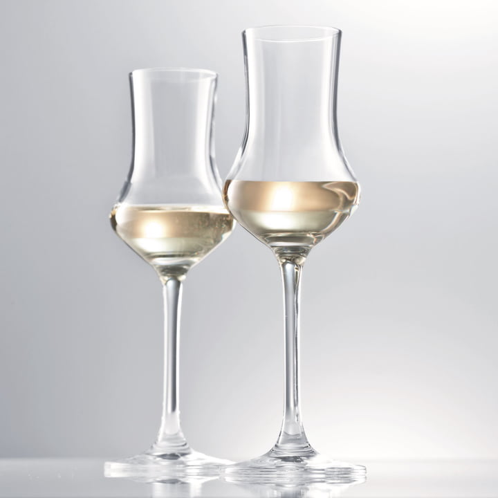 Digestif Grappa Glas von Schott Zwiesel