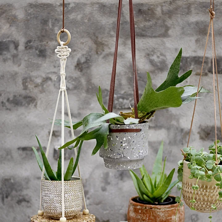 Blumenampel von Bloomingville, Ø 15 x H 13 cm aus Beton zu mehreren arrangiert