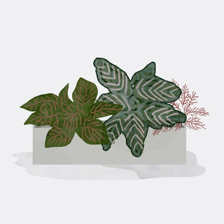 ferm Living - Plant Box