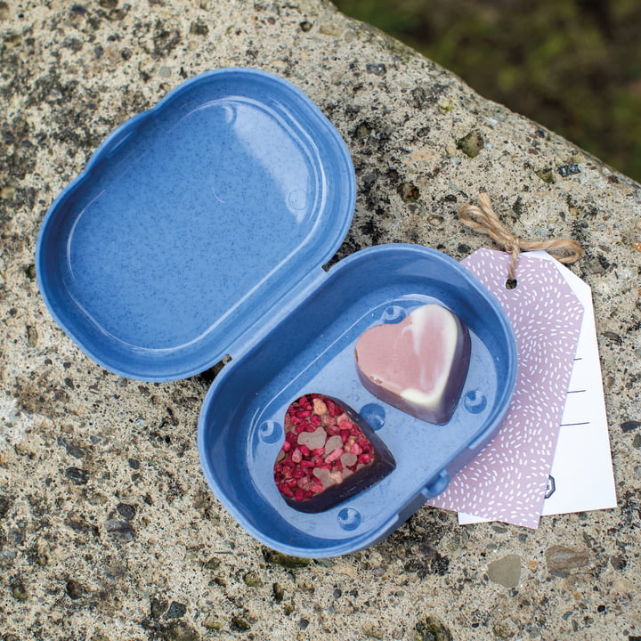 Pascal Mini Lunchbox von Koziol in organic blue