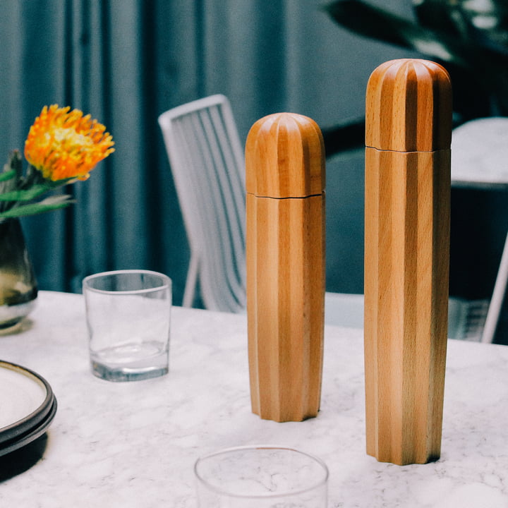 Cacti Salz- und Pfeffermühle (2er-Set) von Doiy | Connox