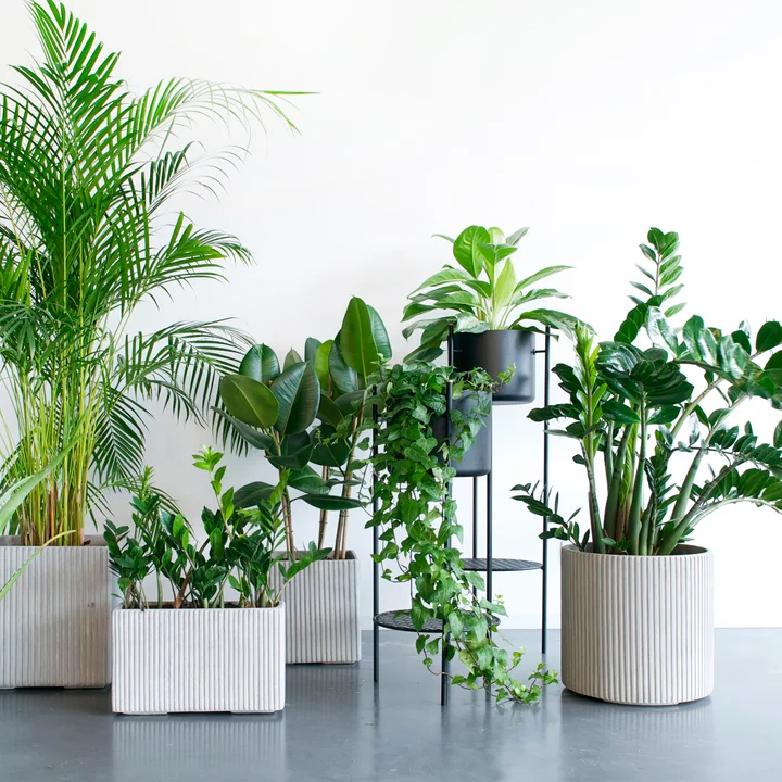 Mon Square Blumentopf, grau von XLBoom