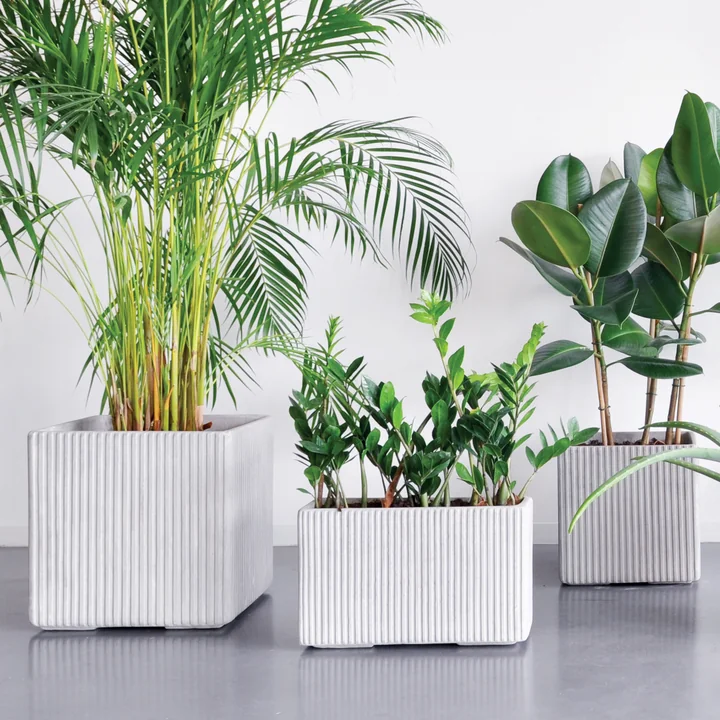 Mon Square Blumentopf, grau von XLBoom