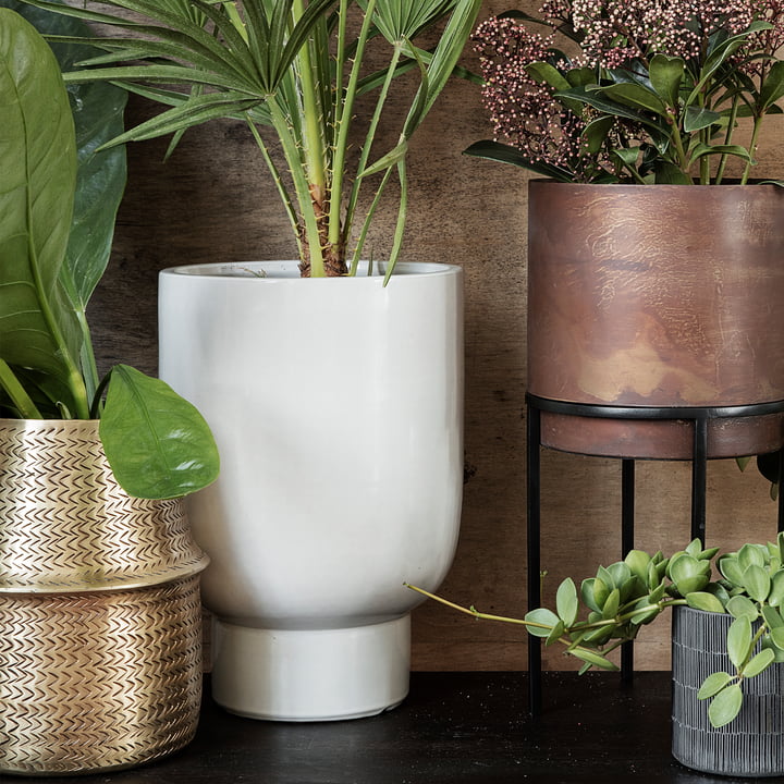 Pot Blumentopf von House Doctor Connox