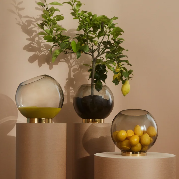 Die Globe Vase von AYTM mit einem Zitronenbäumchen und Früchten befüllt