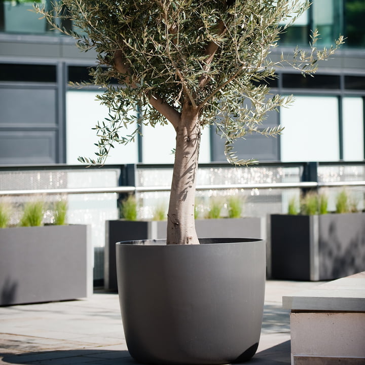 Der Kyoto Pflanzentopf von Eternit auf der Dachterrasse