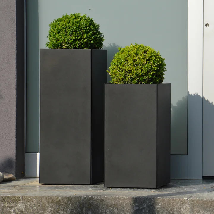 Die verschiedenen Planter Pflanzkübel von Jan Kurtz mit Buchsbäumen