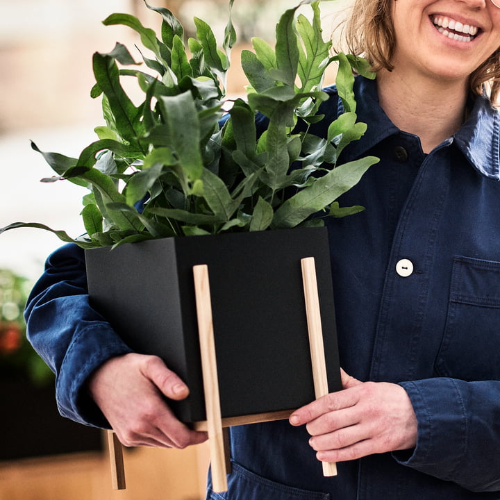 Der Botanic Pot von Design House Stockholm ist gut handhabbar