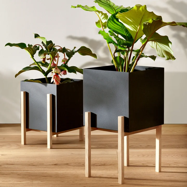 Der Botanic Pedestal Pot von Design House Stockholm bringt Grünzeug ins Haus