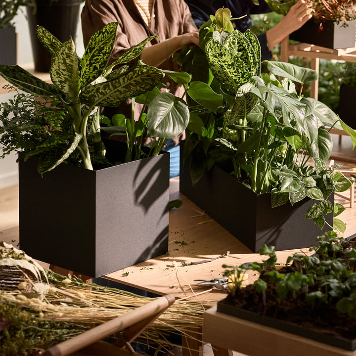 Botanic Stand von Design House Stockholm Connox