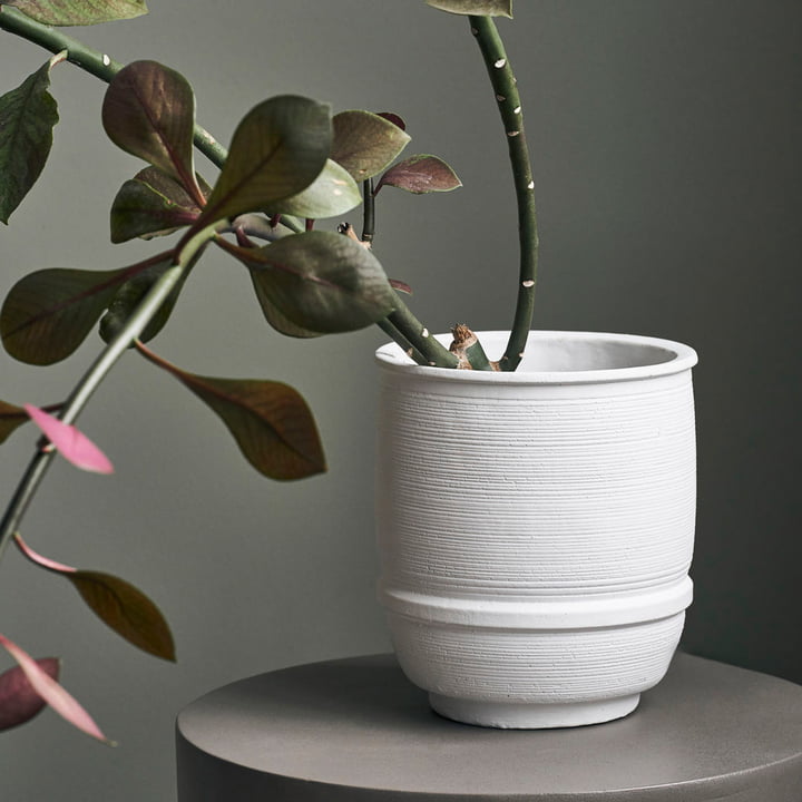 Ground Beton Blumentopf von House Doctor Connox