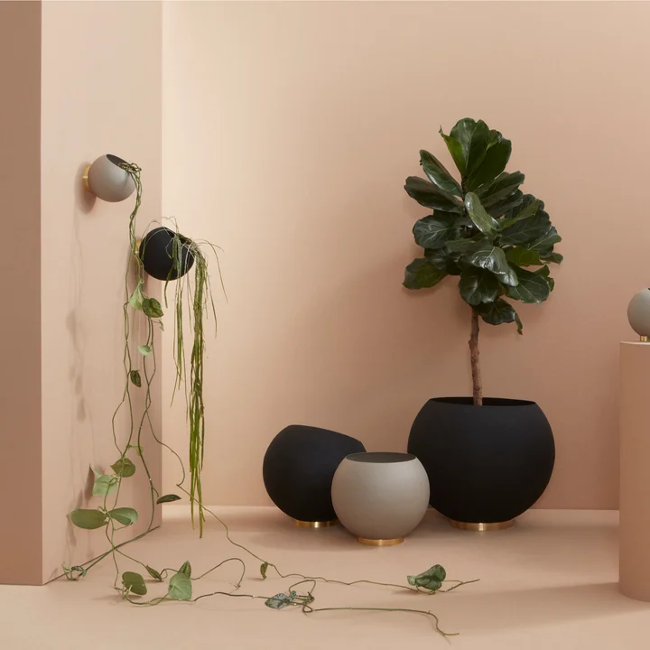 Globe Wand-Blumentopf von AYTM