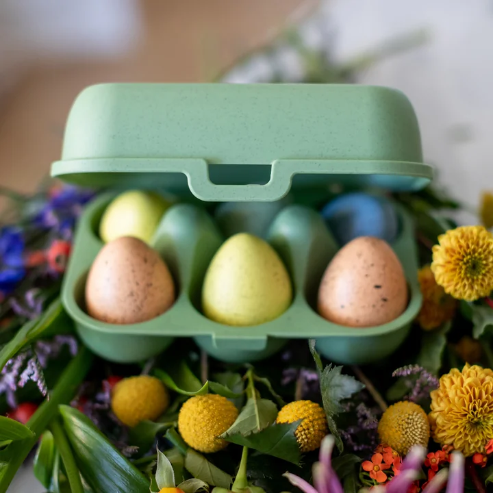 Eggs to go Mehrweg Eierbehälter mini, nature leaf green von Koziol