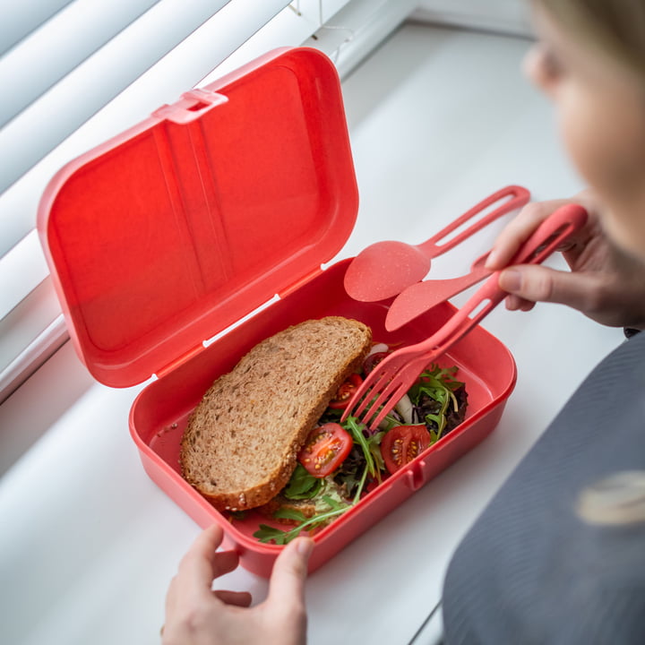 Pascal L Lunchbox mit Trennsteg, nature coral von Koziol