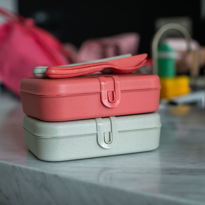 Pascal L Lunchbox mit Trennsteg, nature coral und nature desert sand von Koziol