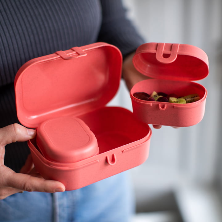 Pascal Ready Mini Lunchbox-Set, nature coral von Koziol