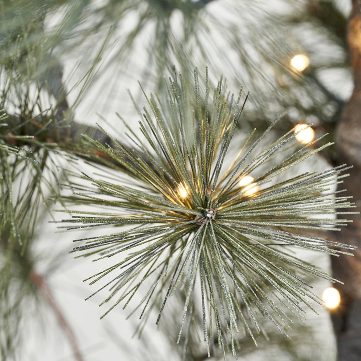 Peuce Weihnachtsbaum mit LEDBeleuchtung von House Doctor Connox