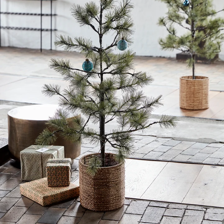 Peuce Weihnachtsbaum von House Doctor