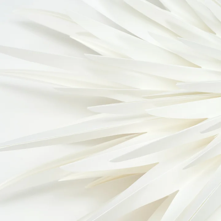 House Doctor - Dust Papier Weihnachtsstern