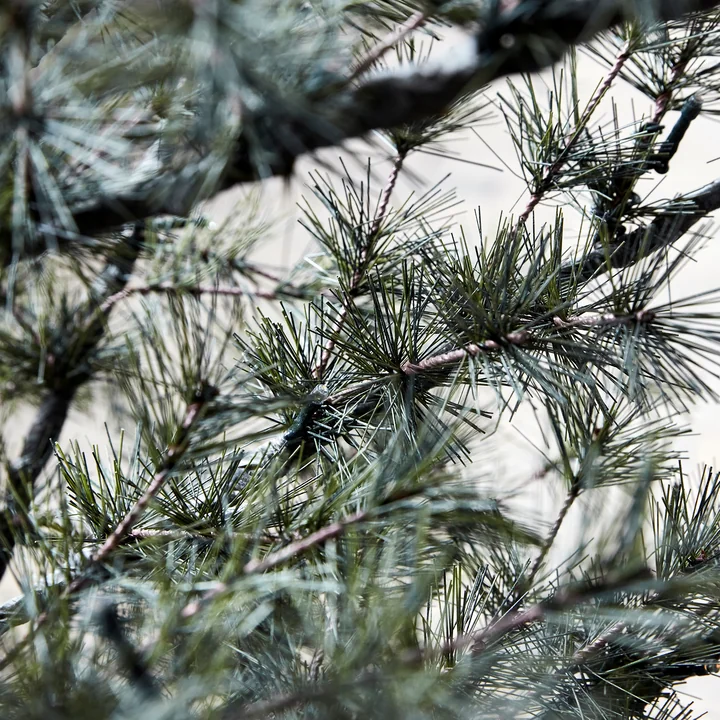 Pin Weihnachtsbaum von House Doctor