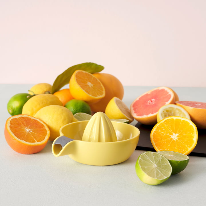 JUICY Zitruspresse von Rig-Tig by Stelton