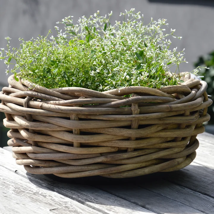 Der Palau Korb von Jan Kurtz