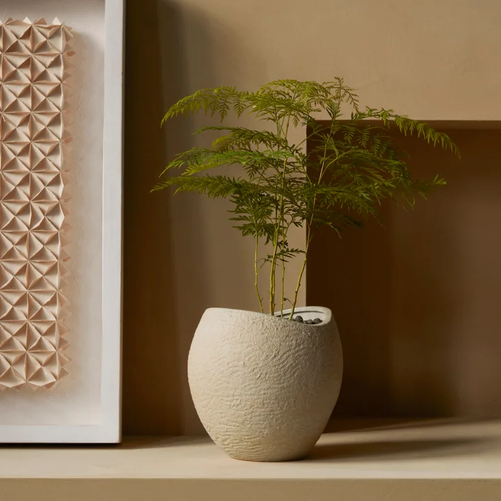 Plantas Pflanzentöpfe von Audo